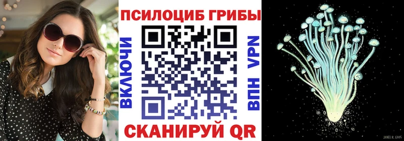 гидра ссылка  Тимашёвск  Галлюциногенные грибы Cubensis  закладки 