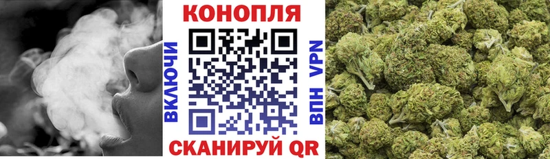 Каннабис SATIVA & INDICA  Тимашёвск 